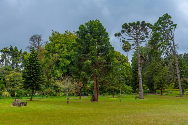 Парк Вікторія Нувара Елія Шрі Ланка — стокове фото