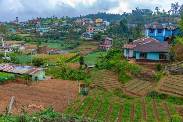 Kopcovitá Krajina Srí Lanky Posetá Vesnicemi Čajovými Plantážemi Poblíž Nuwara — Stock fotografie