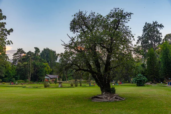 Парк Виктории Нувара Элия Шри Ланка — стоковое фото