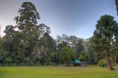 Nuwara Eliya 'daki Victoria Park, Sri Lanka.