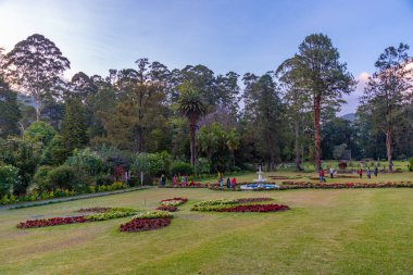 Nuwara Eliya 'daki Victoria Park, Sri Lanka.