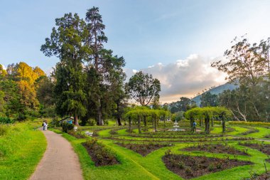 Nuwara Eliya 'daki Victoria Park, Sri Lanka.