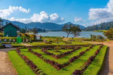 Nuwara Eliya 'daki Gregory Gölü, Sri Lanka.