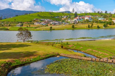Nuwara Eliya 'daki Gregory Gölü, Sri Lanka.