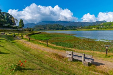 Nuwara Eliya 'daki Gregory Gölü, Sri Lanka.