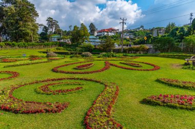 Nuwara Eliya 'daki Gregory Gölü, Sri Lanka.