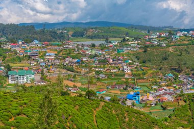 Nuwara Eliya 'nın Sri Lanka' daki manzarası.