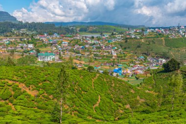 Nuwara Eliya 'nın Sri Lanka' daki manzarası.