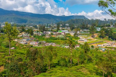 Nuwara Eliya 'nın Sri Lanka' daki manzarası.