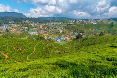 Nuwara Eliya 'nın Sri Lanka' daki manzarası.