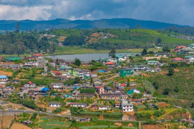 Nuwara Eliya 'nın Sri Lanka' daki manzarası.
