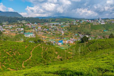 Nuwara Eliya 'nın Sri Lanka' daki manzarası.