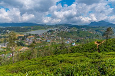Nuwara Eliya 'nın Sri Lanka' daki manzarası.