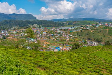 Nuwara Eliya 'nın Sri Lanka' daki manzarası.