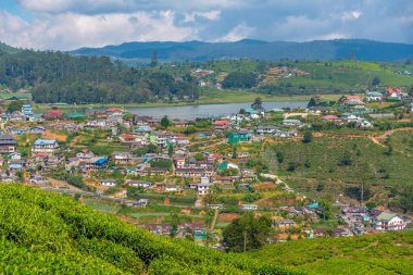 Nuwara Eliya 'nın Sri Lanka' daki manzarası.