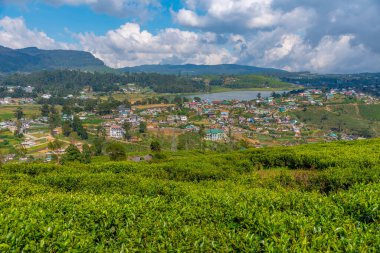 Nuwara Eliya 'nın Sri Lanka' daki manzarası.