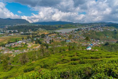 Nuwara Eliya 'nın Sri Lanka' daki manzarası.