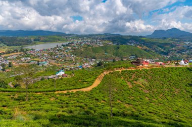 Nuwara Eliya 'nın Sri Lanka' daki manzarası.