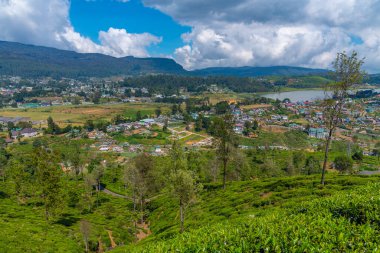 Nuwara Eliya 'nın Sri Lanka' daki manzarası.