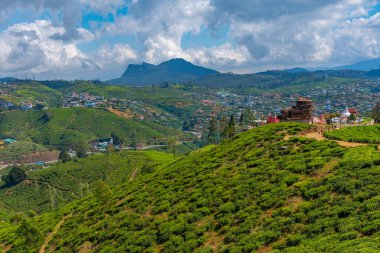 Nuwara Eliya 'nın Sri Lanka' daki manzarası.