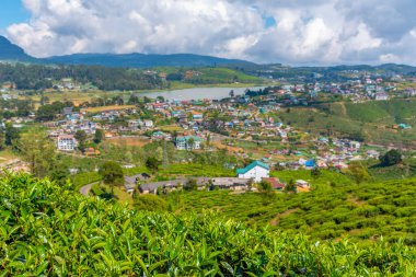 Nuwara Eliya 'nın Sri Lanka' daki manzarası.