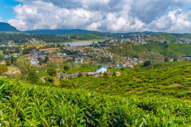 Nuwara Eliya 'nın Sri Lanka' daki manzarası.