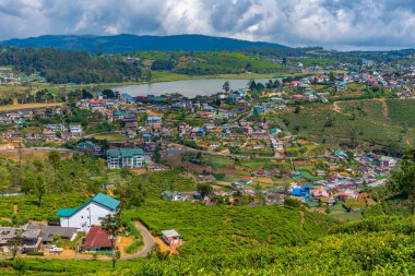 Nuwara Eliya 'nın Sri Lanka' daki manzarası.