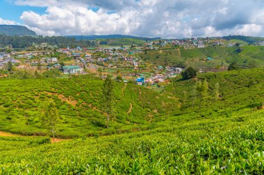 Nuwara Eliya 'nın Sri Lanka' daki manzarası.
