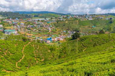 Nuwara Eliya 'nın Sri Lanka' daki manzarası.