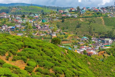 Nuwara Eliya 'nın Sri Lanka' daki manzarası.