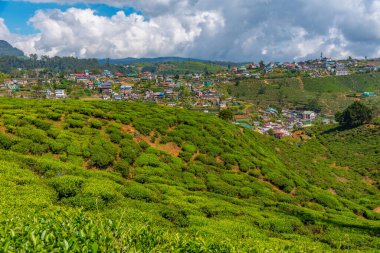 Nuwara Eliya 'nın Sri Lanka' daki manzarası.