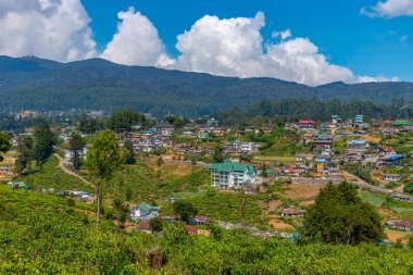 Nuwara Eliya 'nın Sri Lanka' daki manzarası.