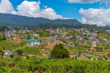 Nuwara Eliya 'nın Sri Lanka' daki manzarası.