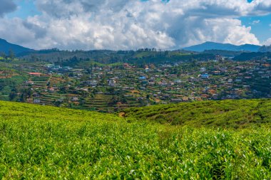 Nuwara Eliya 'nın Sri Lanka' daki manzarası.