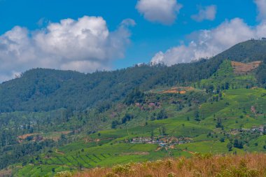 Nuwara Eliya yakınlarındaki köyler ve çay tarlalarıyla benekli Sri Lanka 'nın Hilly manzarası.