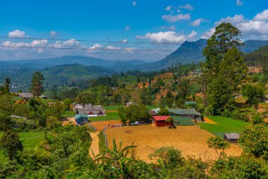 Nuwara Eliya yakınlarındaki köyler ve çay tarlalarıyla benekli Sri Lanka 'nın Hilly manzarası.