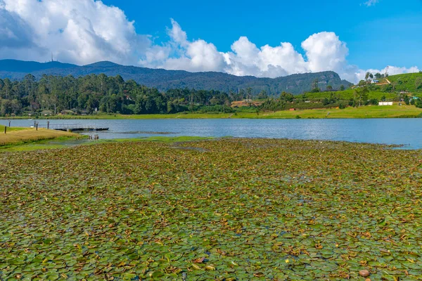 Λίμνη Gregory Στη Nuwara Eliya Σρι Λάνκα — Φωτογραφία Αρχείου