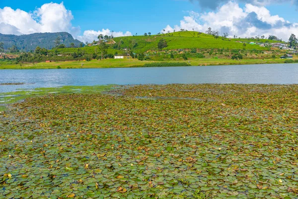 stock image Lake Gregory at Nuwara Eliya, Sri Lanka.