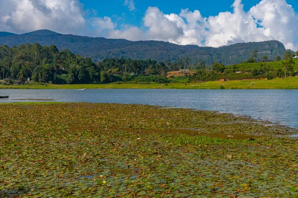 Λίμνη Gregory Στη Nuwara Eliya Σρι Λάνκα — Φωτογραφία Αρχείου