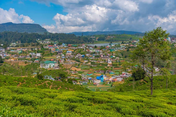Vista Panoramica Nuwara Eliya Nello Sri Lanka — Foto Stock