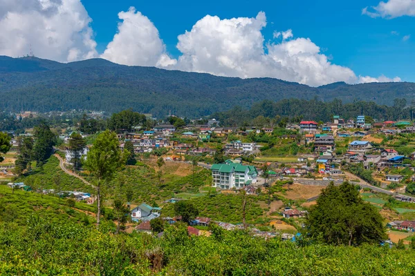 Vista Panorámica Nuwara Eliya Sri Lanka —  Fotos de Stock
