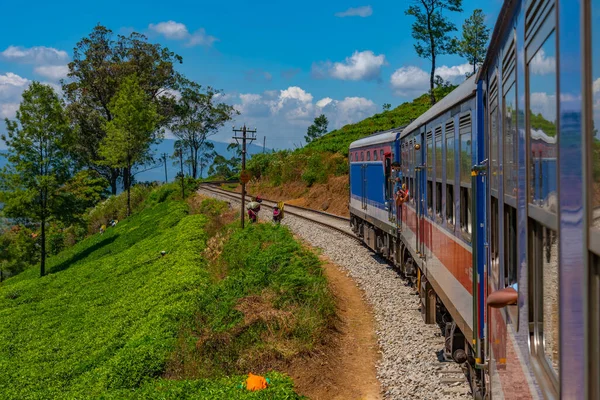 Поїзд Звивається Схилі Пагорба Серед Чайних Плантацій Шрі Ланці — стокове фото