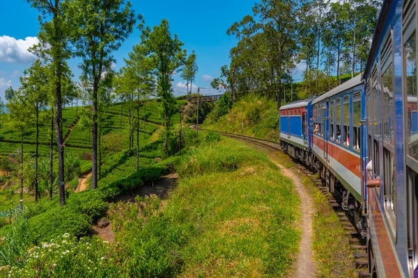 Tren Serpenteando Una Pista Montaña Entre Plantaciones Sri Lanka —  Fotos de Stock