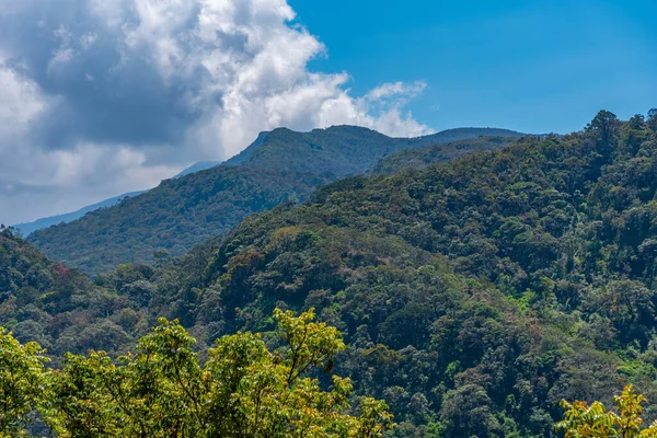 Tierras Altas Sri Lanka Cerca Nuwara Eliya —  Fotos de Stock