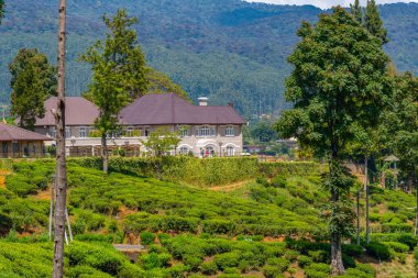 Nuwara Eliya yakınlarındaki köyler ve çay tarlalarıyla benekli Sri Lanka 'nın Hilly manzarası.