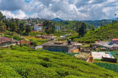 Nuwara Eliya yakınlarındaki köyler ve çay tarlalarıyla benekli Sri Lanka 'nın Hilly manzarası.