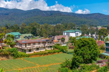 Nuwara Eliya yakınlarındaki köyler ve çay tarlalarıyla benekli Sri Lanka 'nın Hilly manzarası.