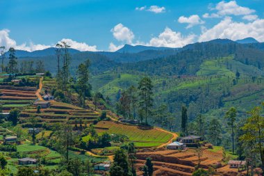 Nuwara Eliya yakınlarındaki köyler ve çay tarlalarıyla benekli Sri Lanka 'nın Hilly manzarası.