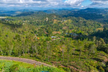 Sri Lanka 'da Haputale çevresindeki çay tarlaları.