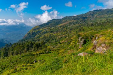Haputale yakınlarındaki Sri Lanka 'da İskoçya.